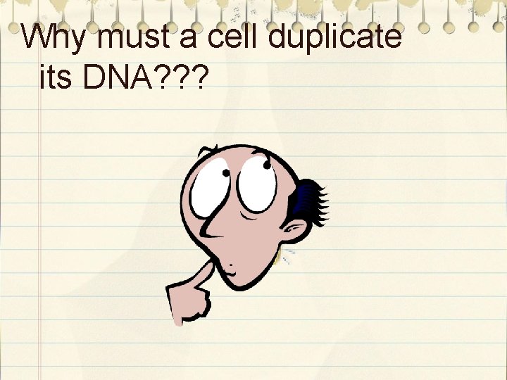 Why must a cell duplicate its DNA? ? ? 