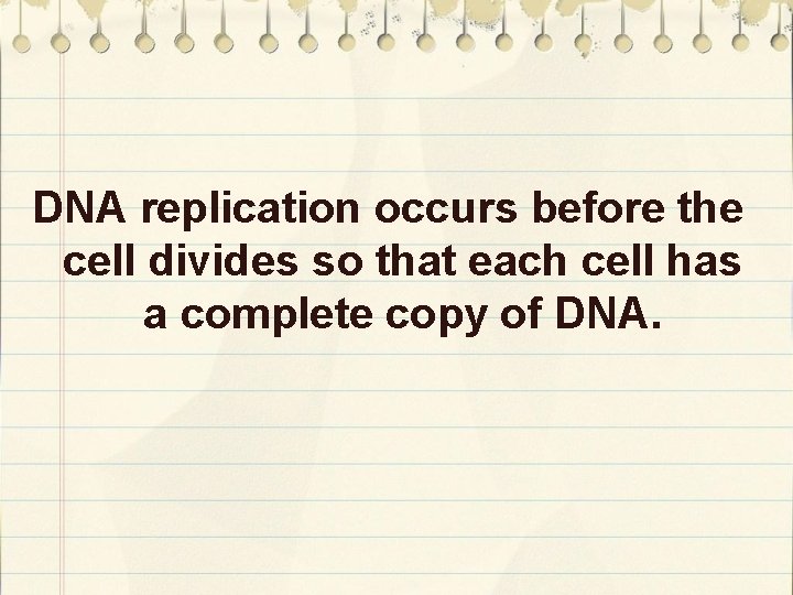 DNA replication occurs before the cell divides so that each cell has a complete