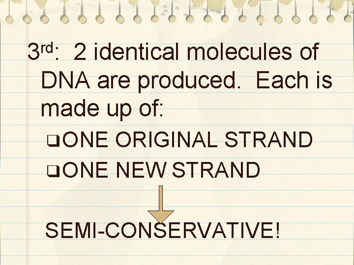 rd 3 : 2 identical molecules of DNA are produced. Each is made up