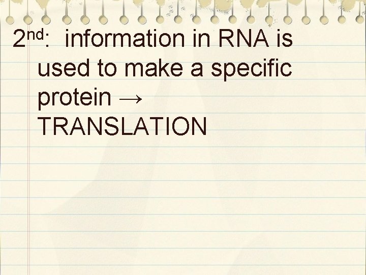 nd 2 : information in RNA is used to make a specific protein →