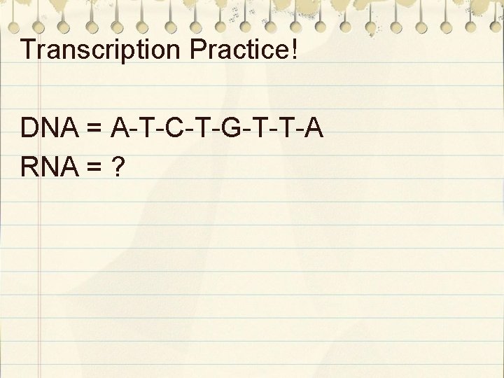 Transcription Practice! DNA = A-T-C-T-G-T-T-A RNA = ? 