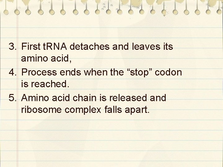 3. First t. RNA detaches and leaves its amino acid, 4. Process ends when