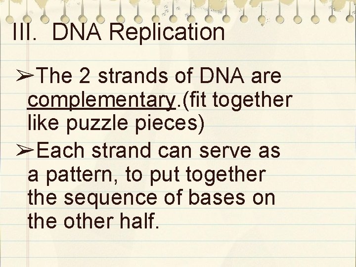 III. DNA Replication ➢The 2 strands of DNA are complementary. (fit together like puzzle