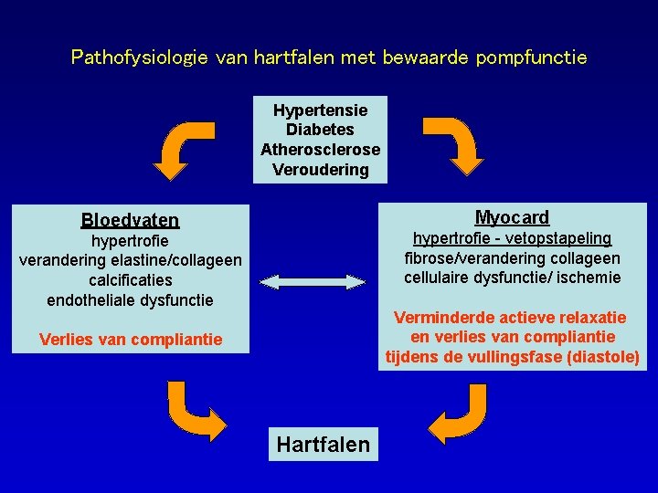 Pathofysiologie van hartfalen met bewaarde pompfunctie Hypertensie Diabetes Atherosclerose Veroudering Myocard Bloedvaten hypertrofie -