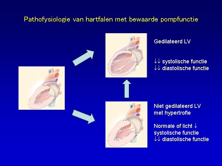 Pathofysiologie van hartfalen met bewaarde pompfunctie Gedilateerd LV systolische functie diastolische functie Niet gedilateerd