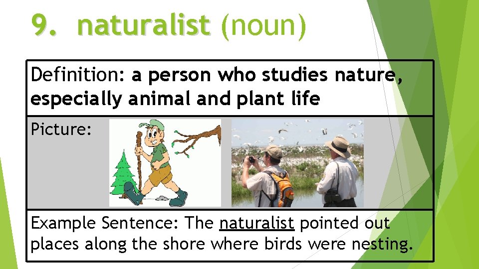 9. naturalist (noun) Definition: a person who studies nature, especially animal and plant life