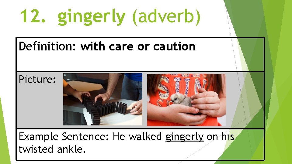 12. gingerly (adverb) Definition: with care or caution Picture: Example Sentence: He walked gingerly
