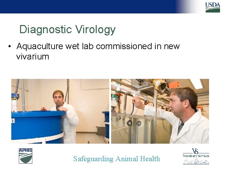 Diagnostic Virology • Aquaculture wet lab commissioned in new vivarium Safeguarding Animal Health 