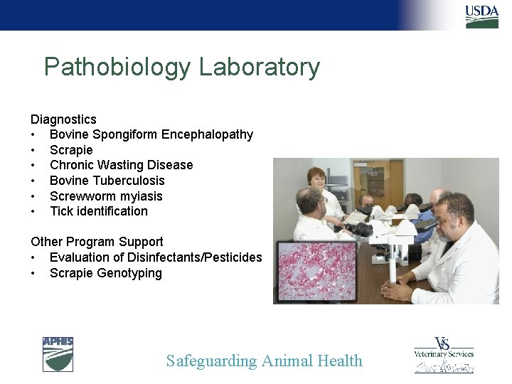 Pathobiology Laboratory Diagnostics • Bovine Spongiform Encephalopathy • Scrapie • Chronic Wasting Disease •