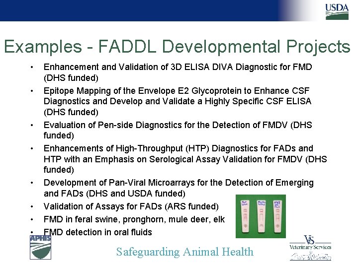 Examples - FADDL Developmental Projects • • Enhancement and Validation of 3 D ELISA