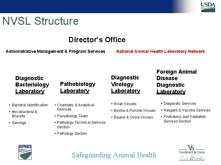 NVSL Structure Director’s Office Administrative Management & Program Services Diagnostic Bacteriology Laboratory • Bacterial