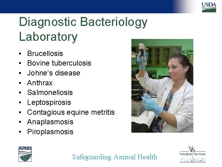 Diagnostic Bacteriology Laboratory • • • Brucellosis Bovine tuberculosis Johne’s disease Anthrax Salmonellosis Leptospirosis