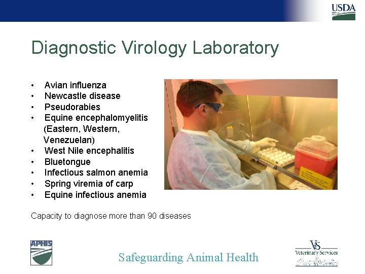 Diagnostic Virology Laboratory • • • Avian influenza Newcastle disease Pseudorabies Equine encephalomyelitis (Eastern,