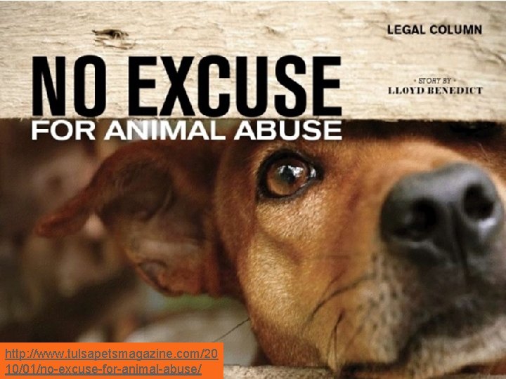 http: //www. tulsapetsmagazine. com/20 10/01/no-excuse-for-animal-abuse/ 