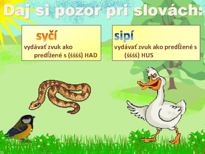 Daj si pozor pri slovách: vydávať zvuk ako predĺžené s (śśśś) HAD vydávať zvuk