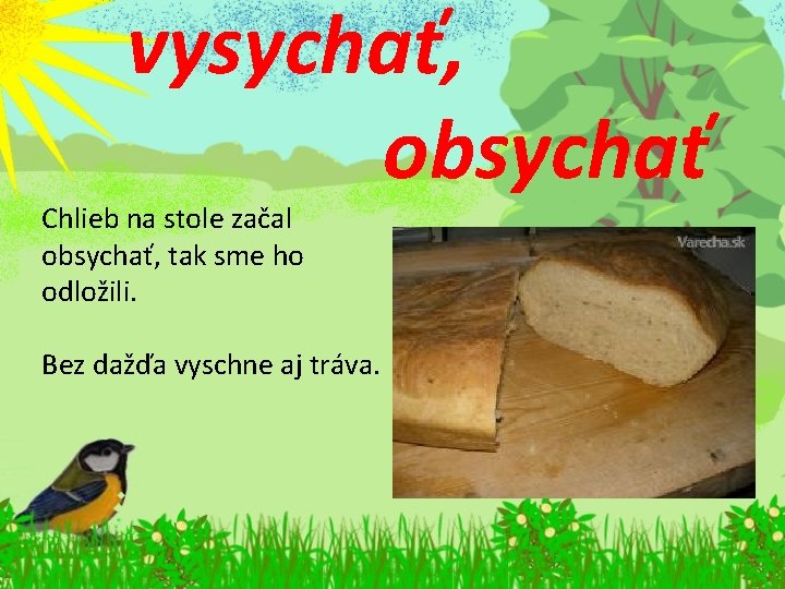 vysychať, obsychať Chlieb na stole začal obsychať, tak sme ho odložili. Bez dažďa vyschne