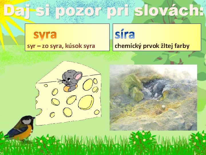 Daj si pozor pri slovách: syr – zo syra, kúsok syra chemický prvok žltej