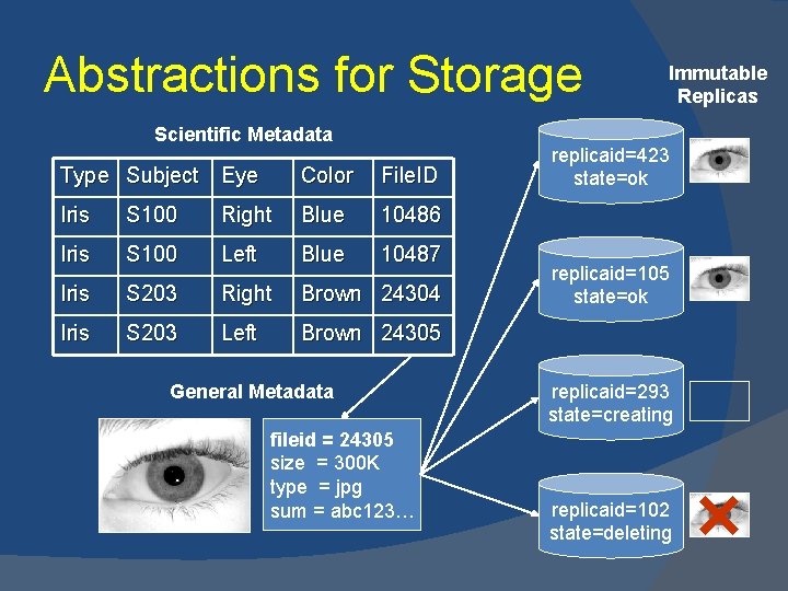 Abstractions for Storage Scientific Metadata Type Subject Eye Color File. ID Iris S 100