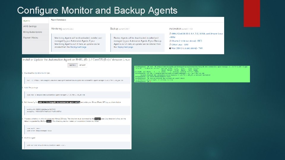 Configure Monitor and Backup Agents 