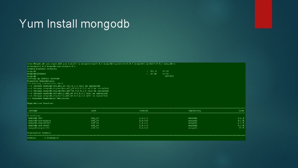 Yum Install mongodb 