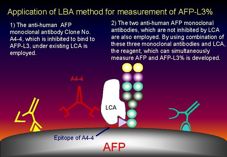 Application of LBA method for measurement of AFP-L 3% 1) The anti-human AFP monoclonal
