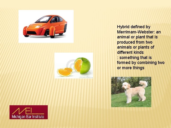 Hybrid defined by Merrimam-Webster: an animal or plant that is produced from two animals