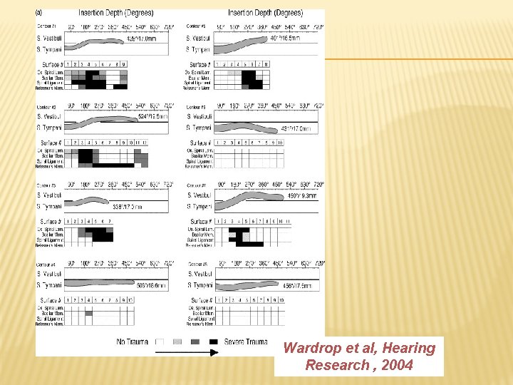 Wardrop et al, Hearing Research , 2004 