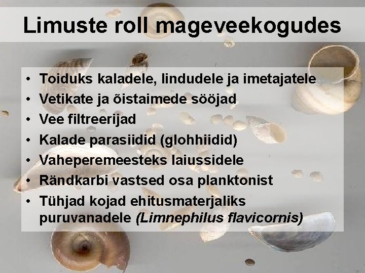 Limuste roll mageveekogudes • • Toiduks kaladele, lindudele ja imetajatele Vetikate ja õistaimede sööjad