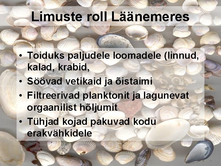 Limuste roll Läänemeres • Toiduks paljudele loomadele (linnud, kalad, krabid, • Söövad vetikaid ja