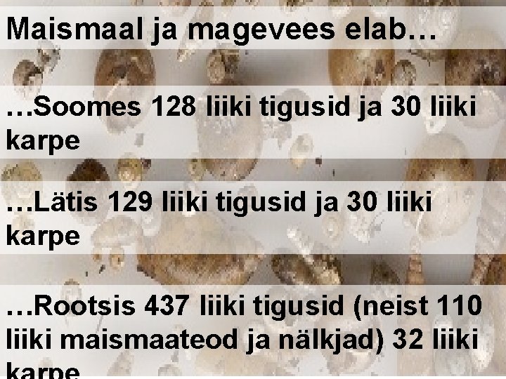 Maismaal ja magevees elab… …Soomes 128 liiki tigusid ja 30 liiki karpe …Lätis 129