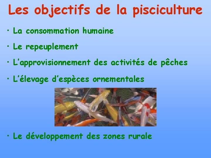 Les objectifs de la pisciculture • La consommation humaine • Le repeuplement • L’approvisionnement