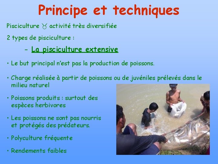 Principe et techniques Pisciculture activité très diversifiée 2 types de pisciculture : - La