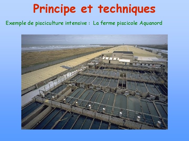 Principe et techniques Exemple de pisciculture intensive : La ferme piscicole Aquanord 