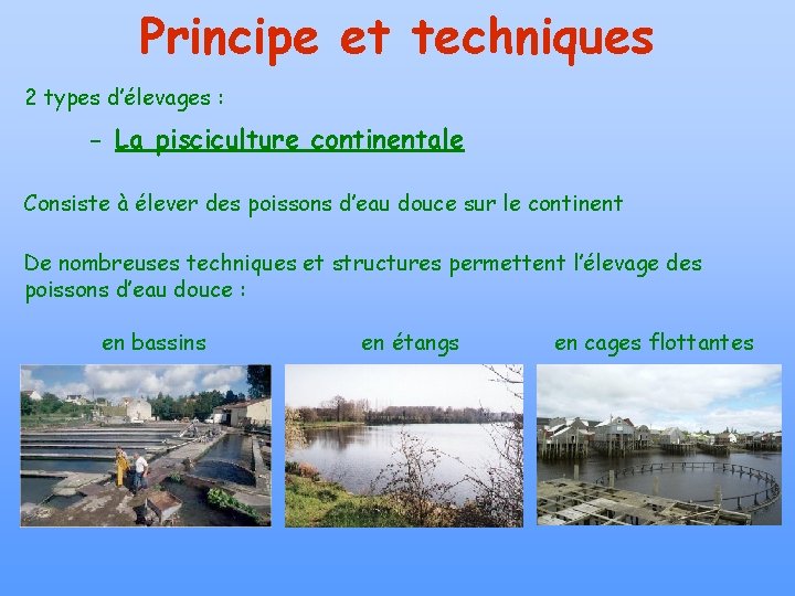 Principe et techniques 2 types d’élevages : - La pisciculture continentale Consiste à élever