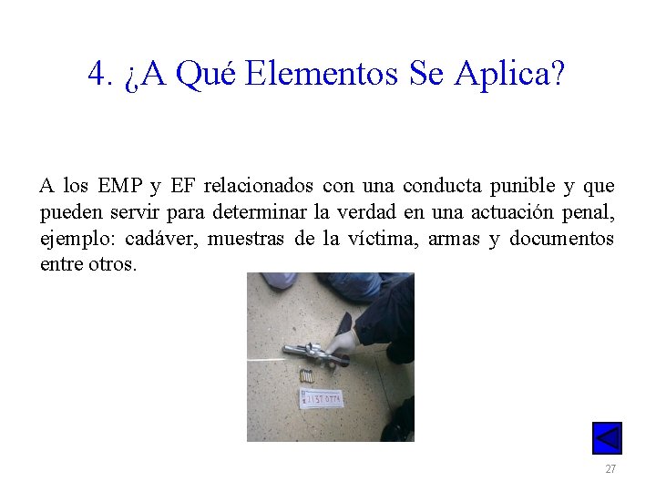 4. ¿A Qué Elementos Se Aplica? A los EMP y EF relacionados con una