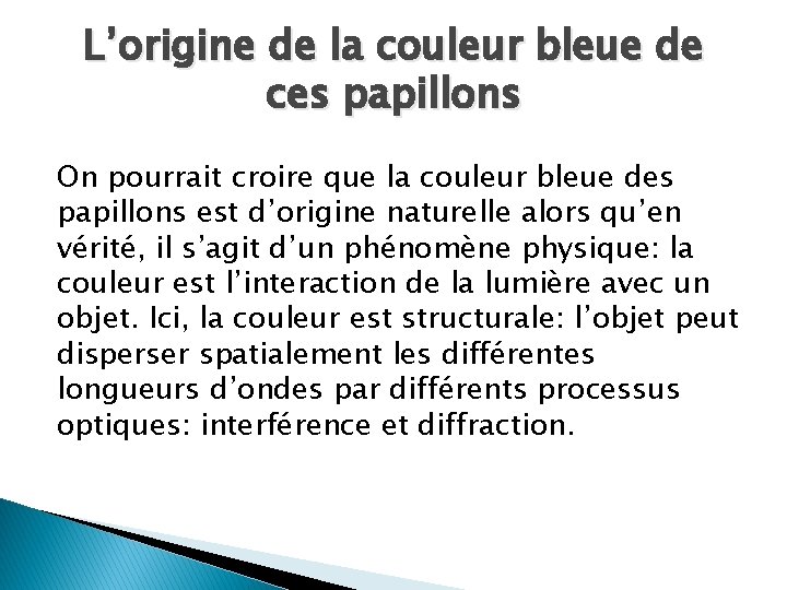 L’origine de la couleur bleue de ces papillons On pourrait croire que la couleur