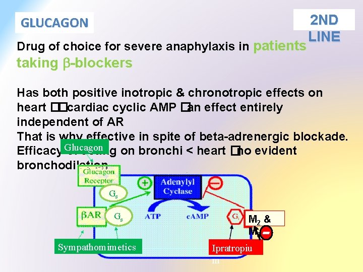 2 ND LINE Drug of choice for severe anaphylaxis in patients taking b-blockers GLUCAGON