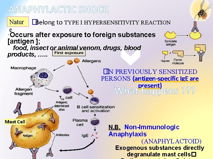 ANAPHYLACTIC SHOCK Natur e �Belong to TYPE I HYPERSENSITIVITY REACTION ·Occurs after exposure to