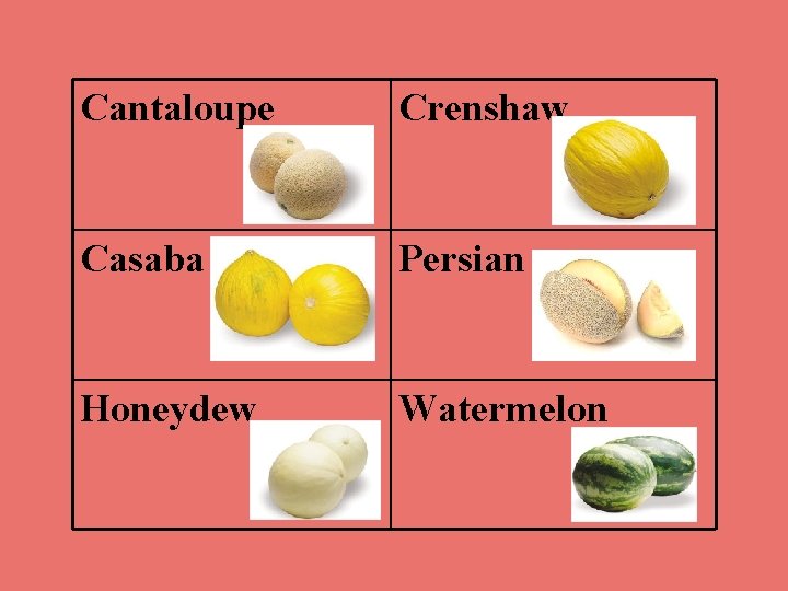 Cantaloupe Crenshaw Casaba Persian Honeydew Watermelon 