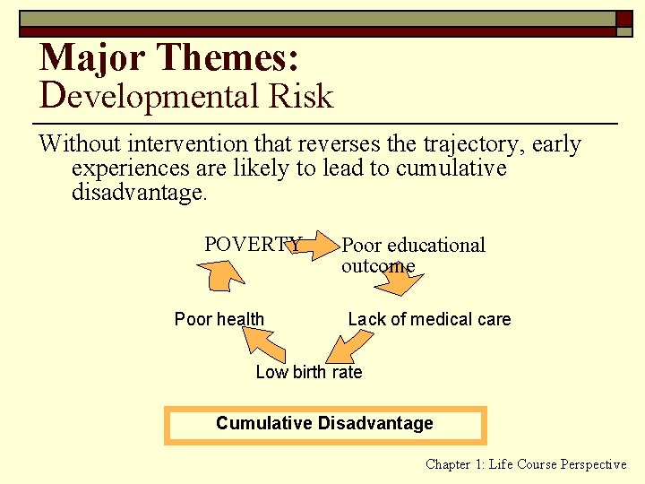 Major Themes: Developmental Risk Without intervention that reverses the trajectory, early experiences are likely