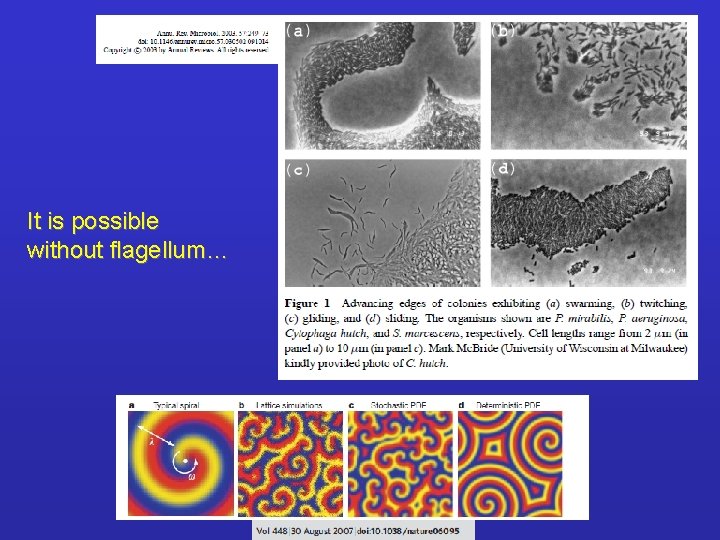 It is possible without flagellum… 