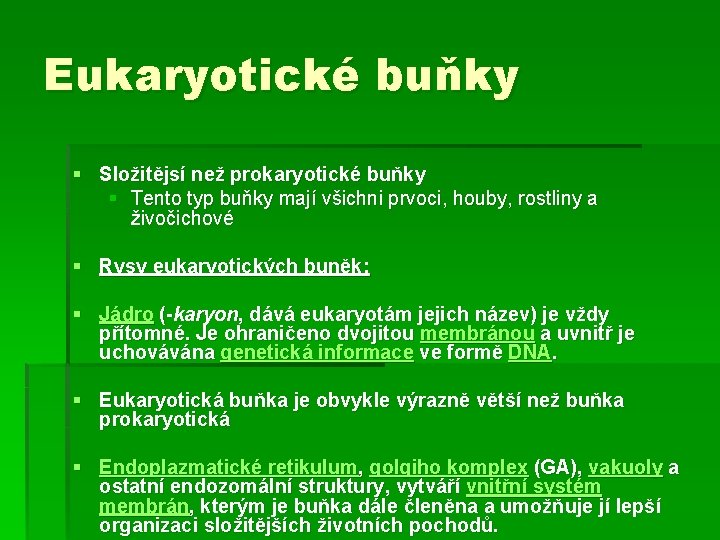 Eukaryotické buňky § Složitějsí než prokaryotické buňky § Tento typ buňky mají všichni prvoci,