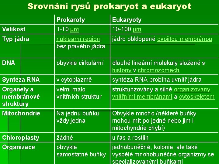 Srovnání rysů prokaryot a eukaryot Prokaroty Eukaryoty Velikost 1 -10 µm 10 -100 µm