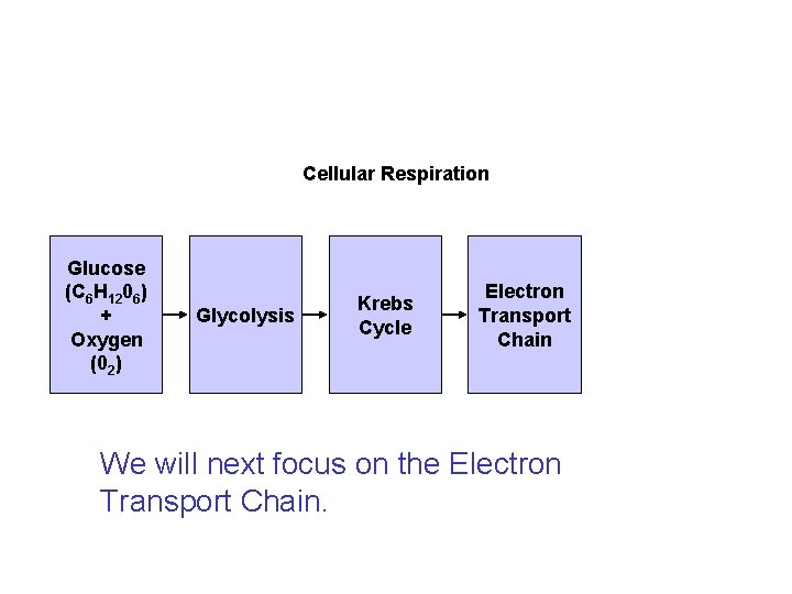 Flowchart Section 9 -2 Cellular Respiration Glucose (C 6 H 1206) + Oxygen (02)