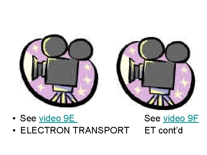  • See video 9 E • ELECTRON TRANSPORT See video 9 F ET
