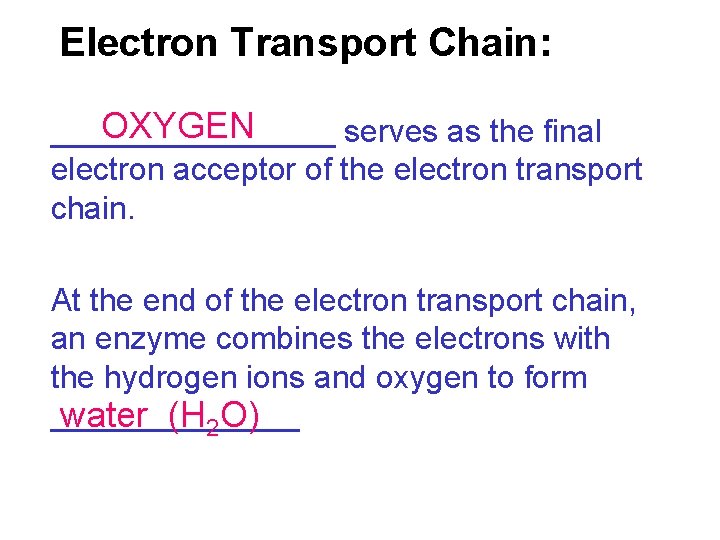 Electron Transport Chain: OXYGEN ________ serves as the final electron acceptor of the electron