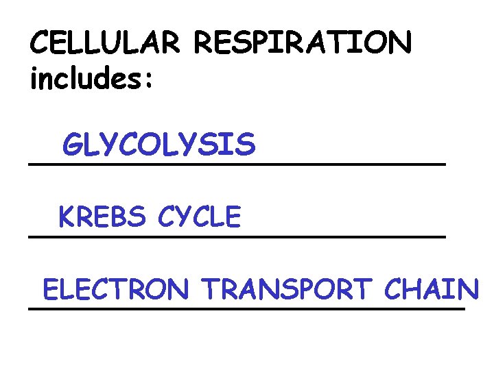 CELLULAR RESPIRATION includes: GLYCOLYSIS ___________ KREBS CYCLE ___________ ELECTRON TRANSPORT CHAIN ____________ 