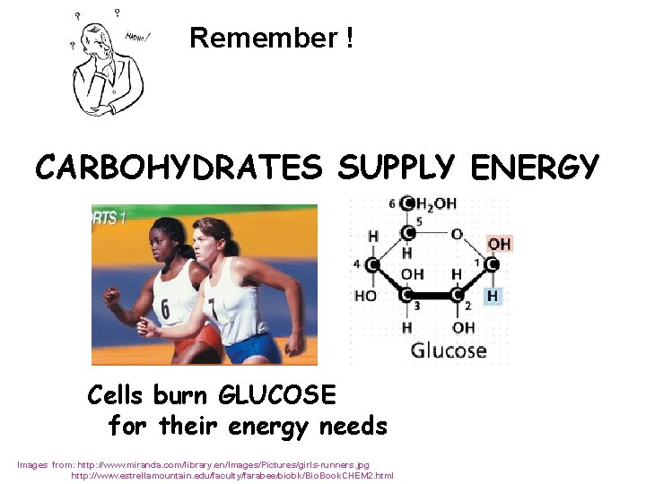 Remember ! CARBOHYDRATES SUPPLY ENERGY Cells burn GLUCOSE for their energy needs Images from: