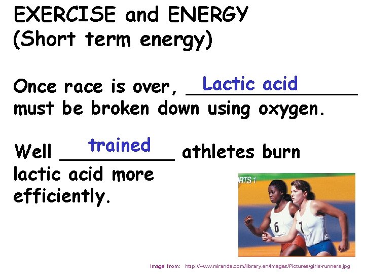 EXERCISE and ENERGY (Short term energy) Lactic acid Once race is over, ________ must