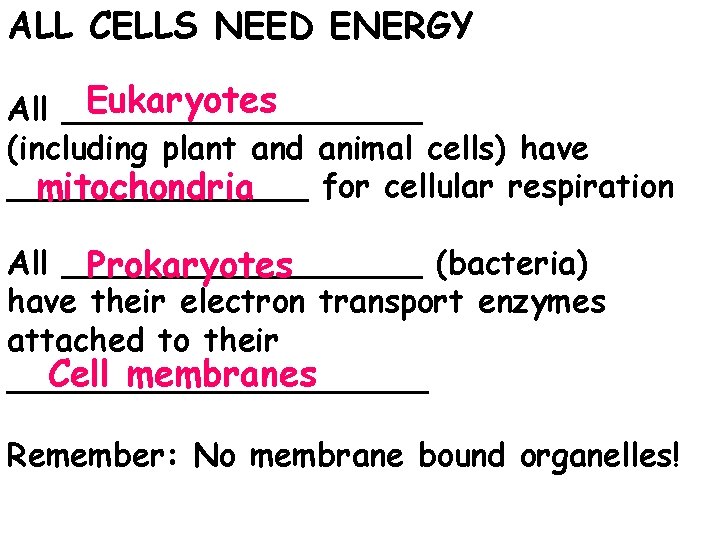 ALL CELLS NEED ENERGY Eukaryotes All _________ (including plant and animal cells) have ________